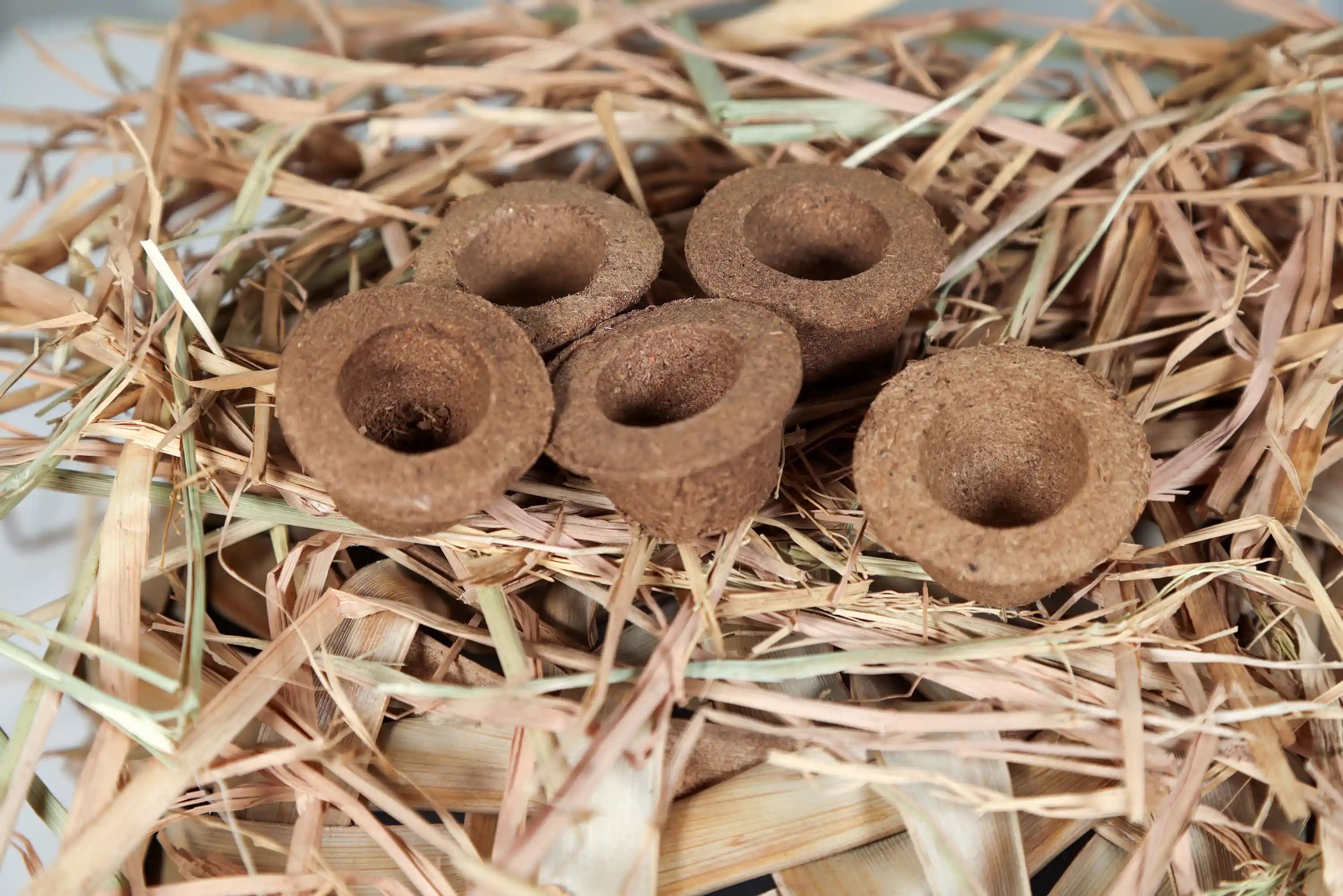 Desi Cow Dung Natural Dhoopa