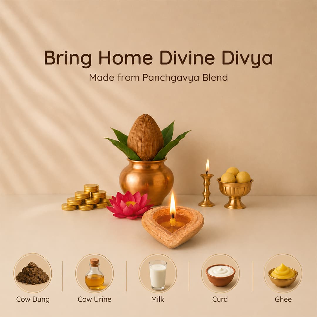 Desi Cow Dung Panchagavya Natural Diya