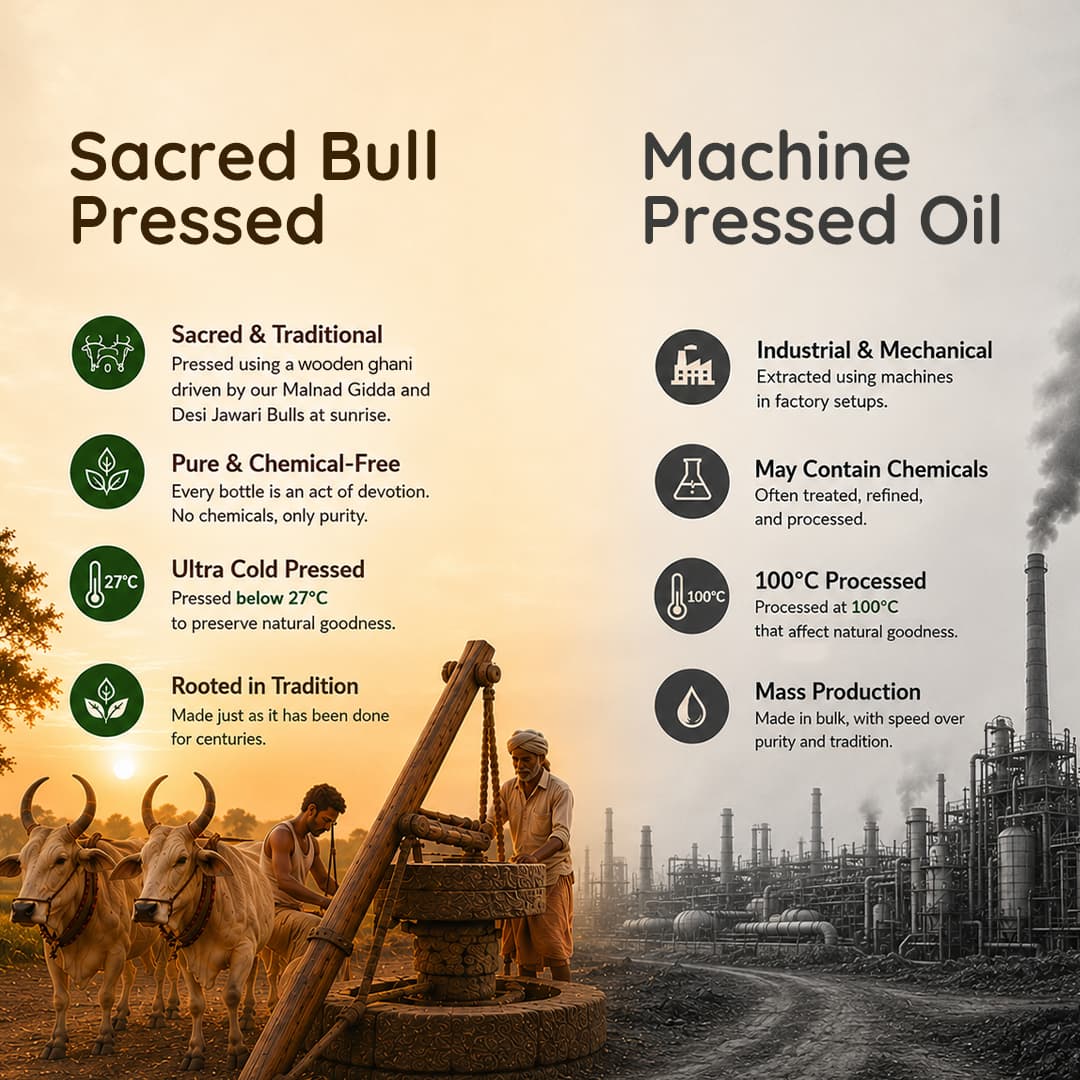 Pure Bull-Driven Coconut Oil — Nandi's Blessing