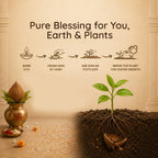 Desi Cow Dung Panchagavya Natural Diya
