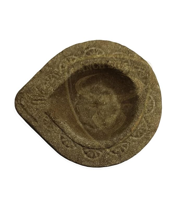 Desi Cow Dung Panchagavya Natural Diya