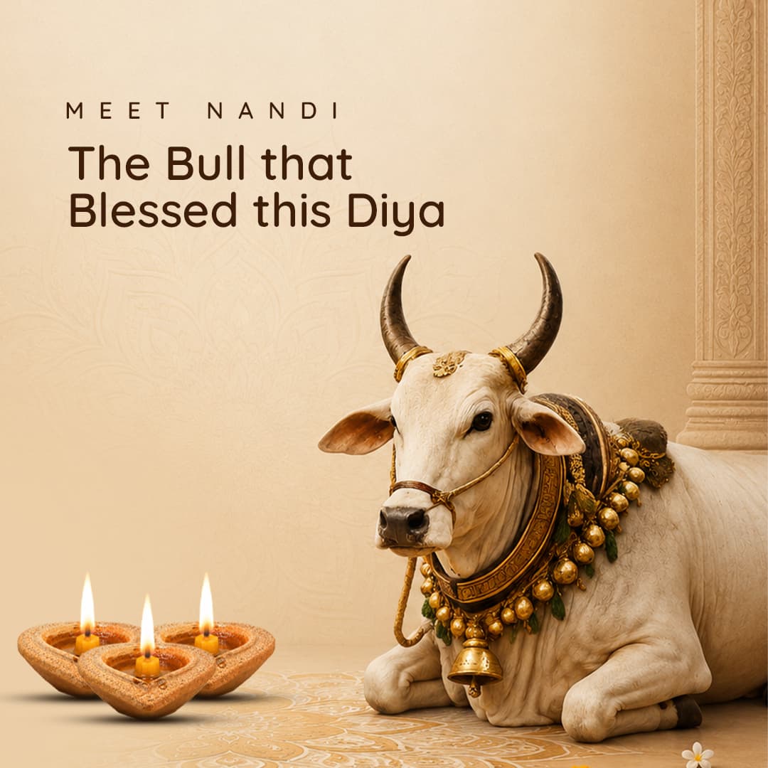 Desi Cow Dung Panchagavya Natural Diya