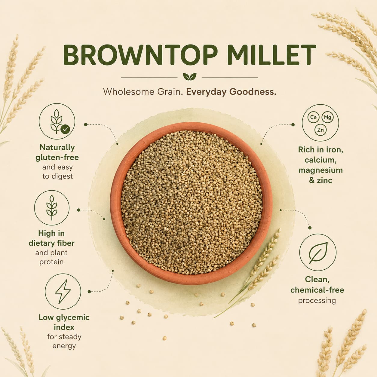 Browntop Millet (Korale)